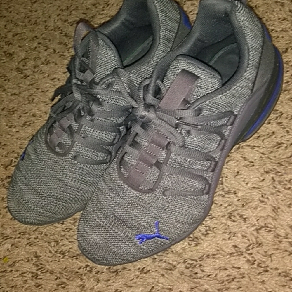 Pumas